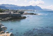 View from the cliffs towards Hermanus village