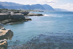 Views from the cliffs in front of the guest house