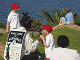 Hermanus whale crier